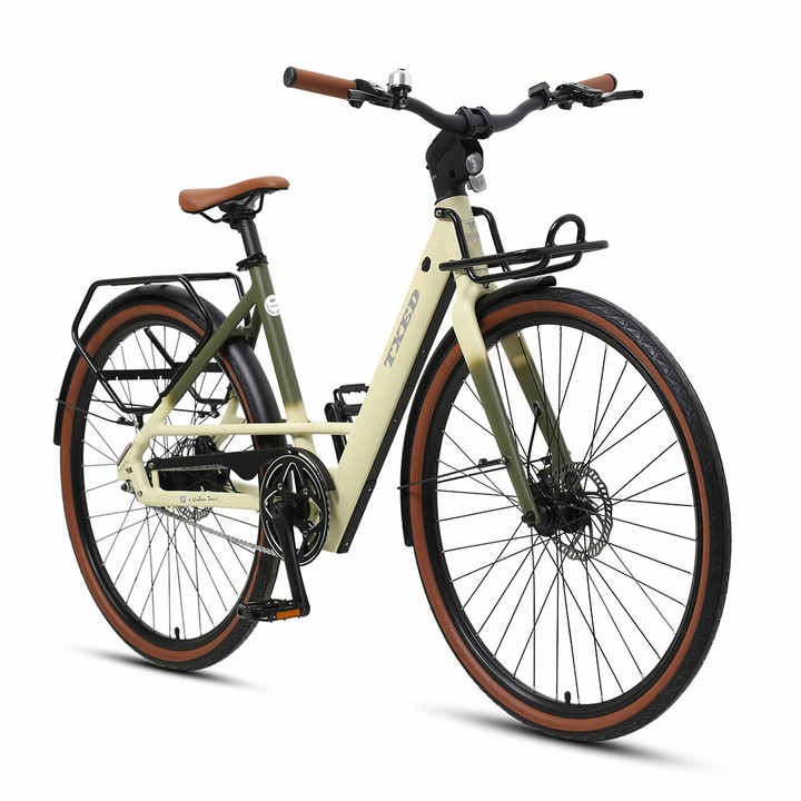 TXED OEM ODM Factory Electric City Bicycle 250W 36V 700C*38C Electric Bicycle Ebike